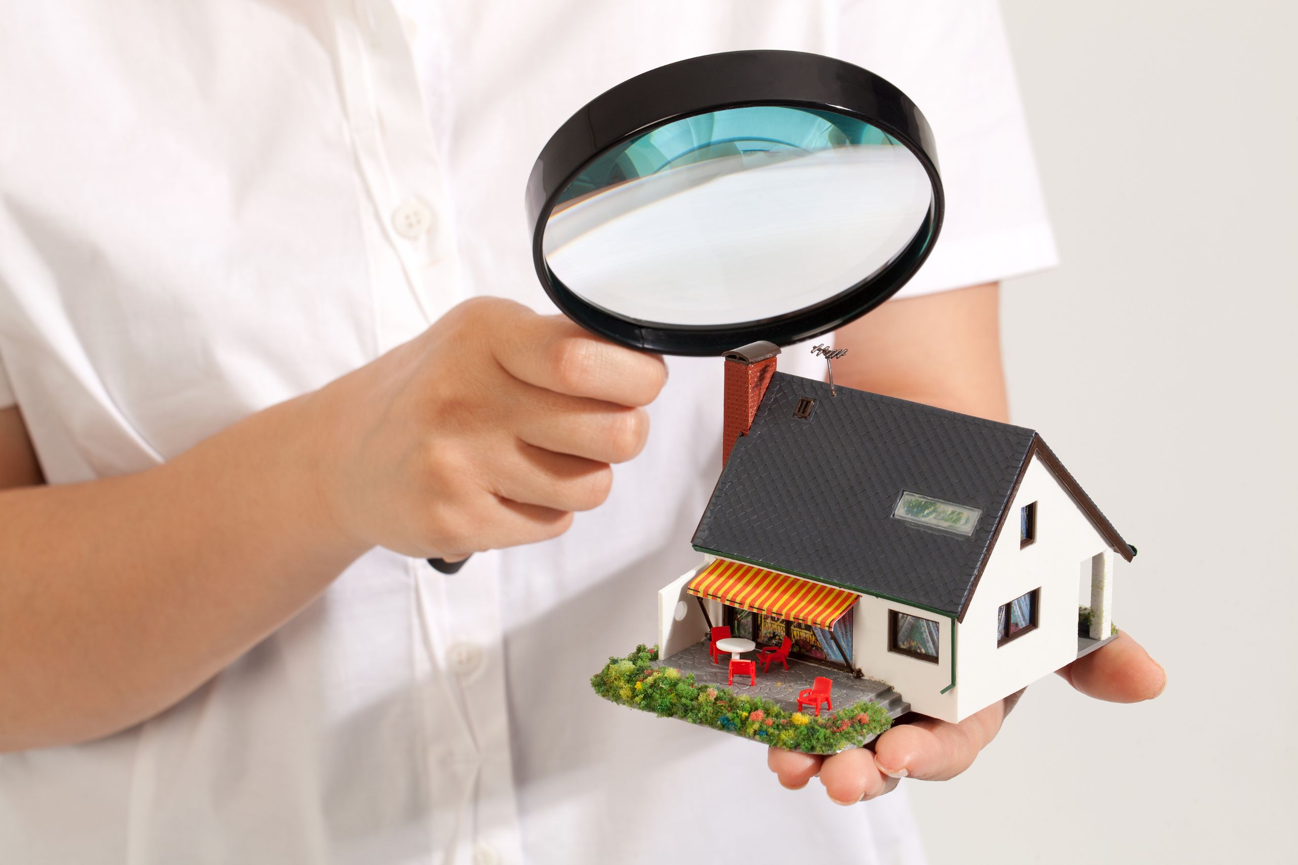 Independent Inspector